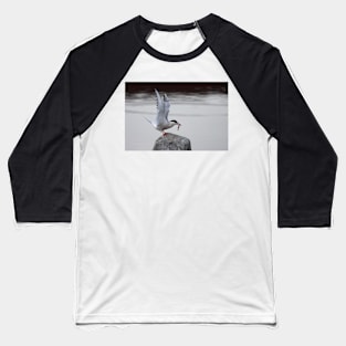 Common Tern Baseball T-Shirt